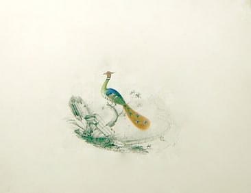 Edward Lear Original Watercolor of a Peacock