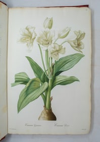 Redoute's Les Liliac?es, First Edition in Red Morocco