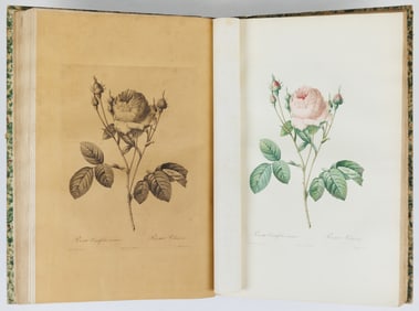 Redoute's Les Roses, First Edition in Large Paper with additional Black engravings