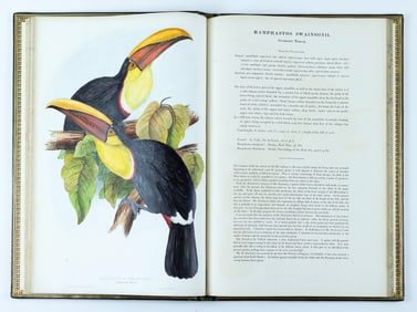 A Monograph of the Ramphastidae, or Family of Toucans, First Edition