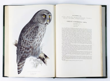 John Gould's The Birds of Europe, First Edition