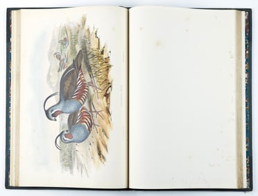 John Gould's A Monograph of the Odontophorinae, or Partridges of America, First Edition