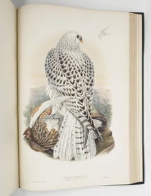 John Gould's The Birds of Great Britain, First Edition