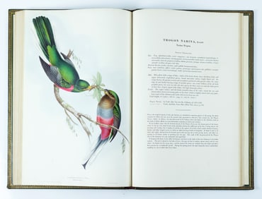 John Gould's A Monograph of the Trogonidae, or Family of Trogons, Second Edition