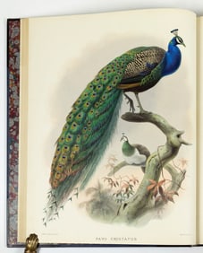 Daniel Giraud Elliot's A Monograph of the Phasianidae, or Family of the Pheasants, First Edition