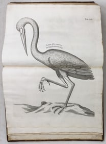 Sir Hans Sloane's A Voyage to the Islands Madera, Barbados, Nieves, S. Christophers and Jamaica