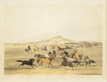 George Catlin Lithograph from his North American Indian Portfolio, Wild Horses at Play