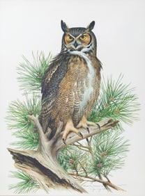 Roger Tory Peterson Chromolithograph of a Great Horned Owl