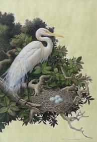 Axel Amuchastegui Acrylic drawing of a Great White Egret