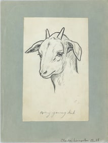 Charles Livingston Bull Drawing - [Goat] very young kid