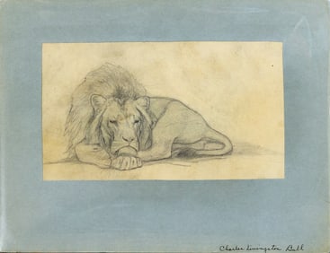 Charles Livingston Bull Drawing - [Alligator and Lion]