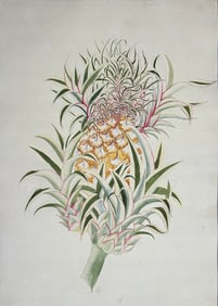 Indo-Chinese Watercolor of a Pineapple
