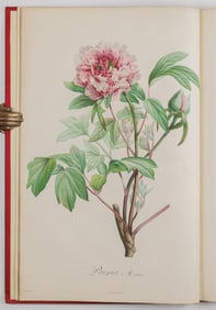 Empress Josephine's Flowers: Presentation copy to Sir Humphry Davy
