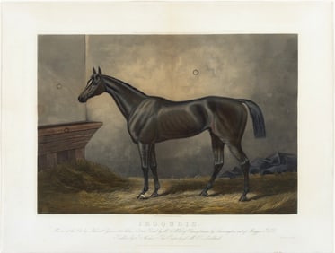 Gilbert's Aquatint of the First American Thoroughbred to win the Epsom Derby, Iroquois