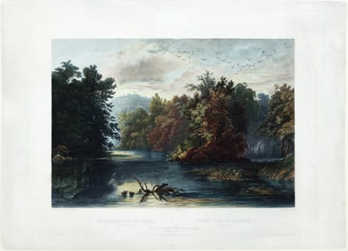Property of a Long Island Collector - Bodmer, Forest Scene on the Lehigh, (Pennsylvania), Tab. 1
