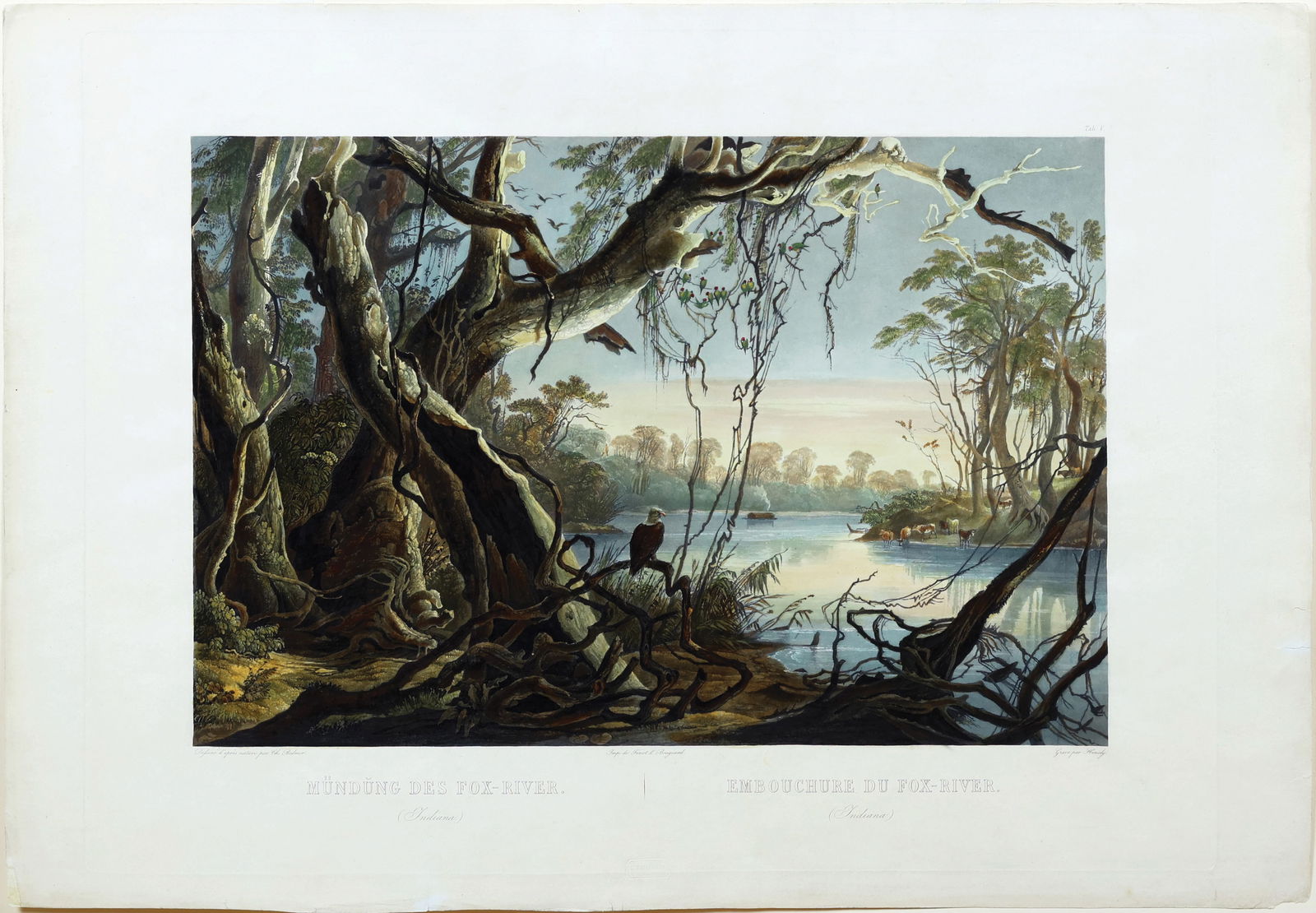 Property of a Long Island Collector - Bodmer, Embouchure du Fox-River, Tab. 5 (1 of 1)