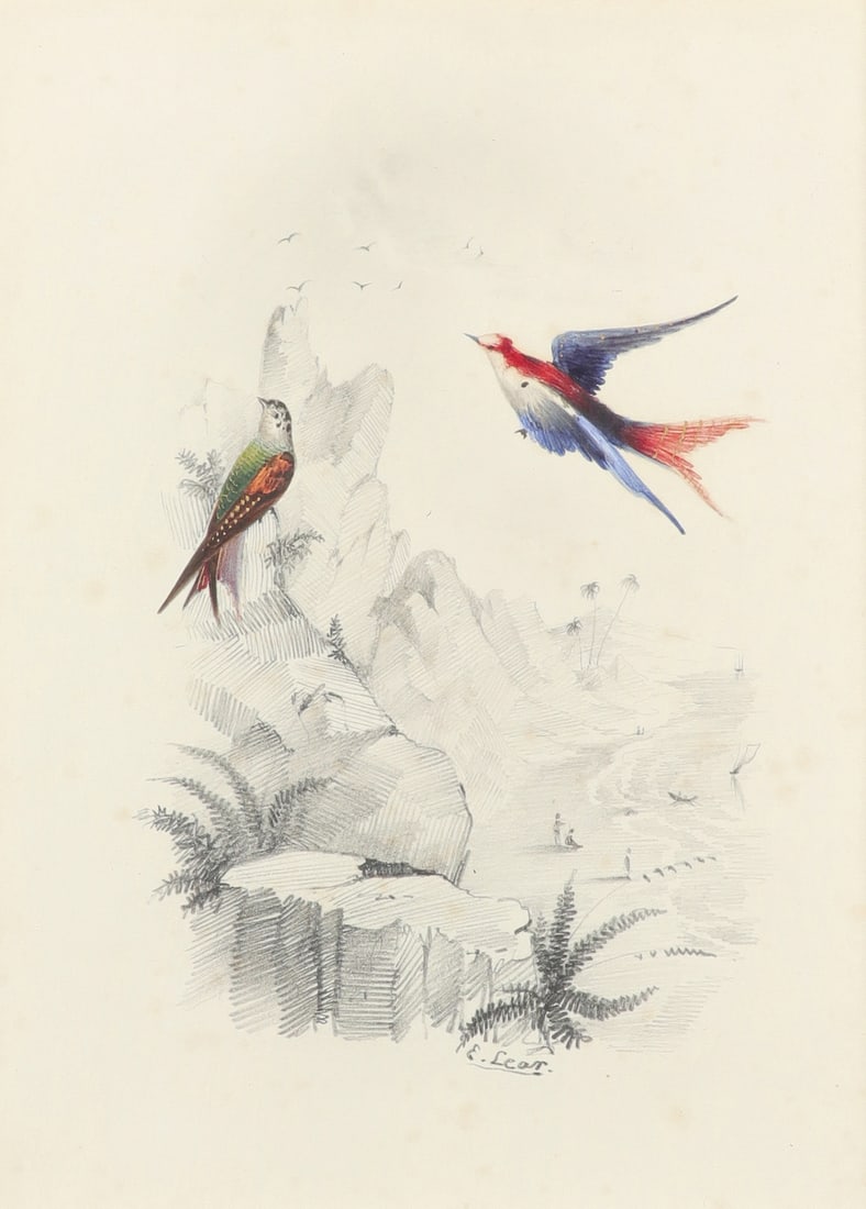 Edward Lear Original Watercolor of two brightly plumed birds in a tropical coastal landscape (1 of 1)