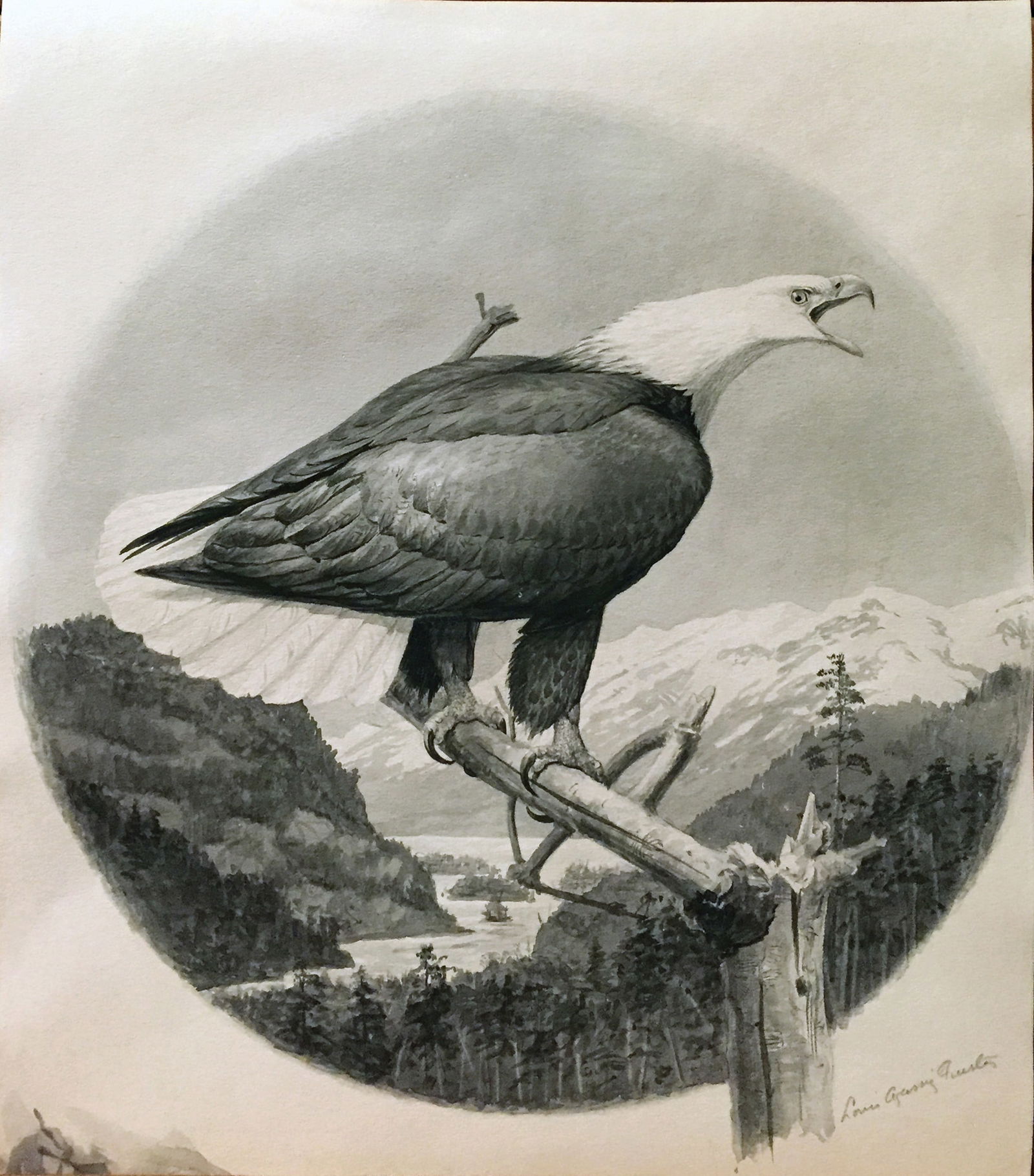 Louis Agassiz Fuertes Original Watercolor of Bald Eagle Perched on a Branch (1 of 1)