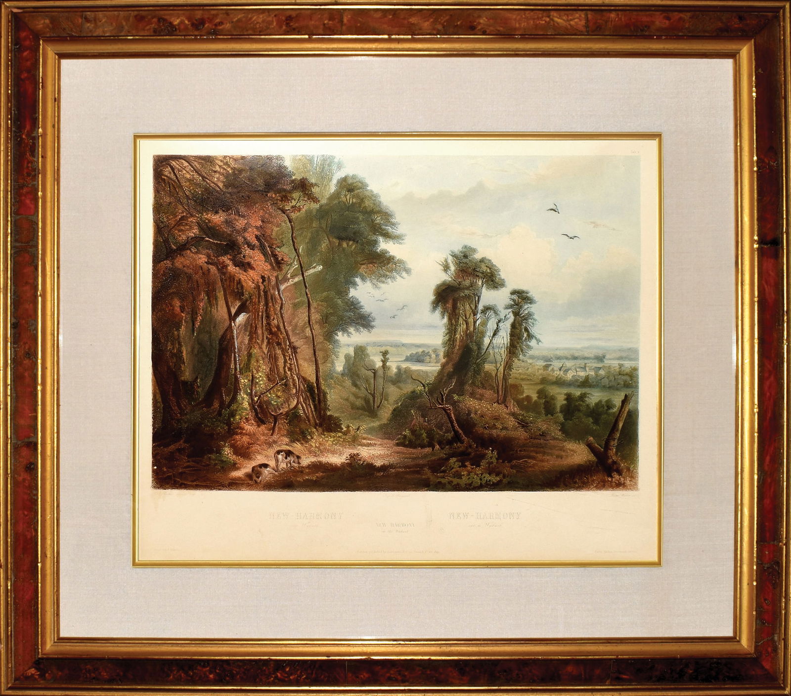 Property of a Nebraska Lady - Bodmer, New Harmony on the Wabash, Tab. 2 (1 of 1)