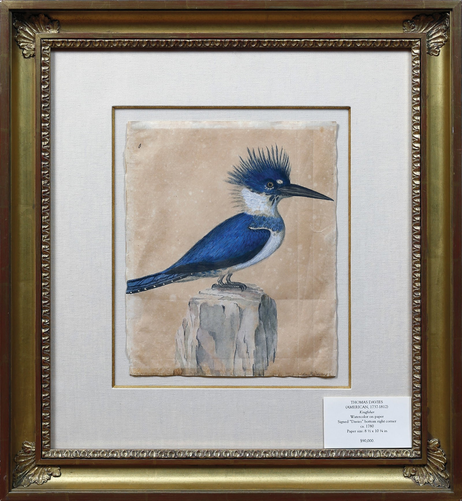 Thomas Davis Original Watercolor, Kingfisher - By a Renowned British Military Draughtsman of the (1 of 2)