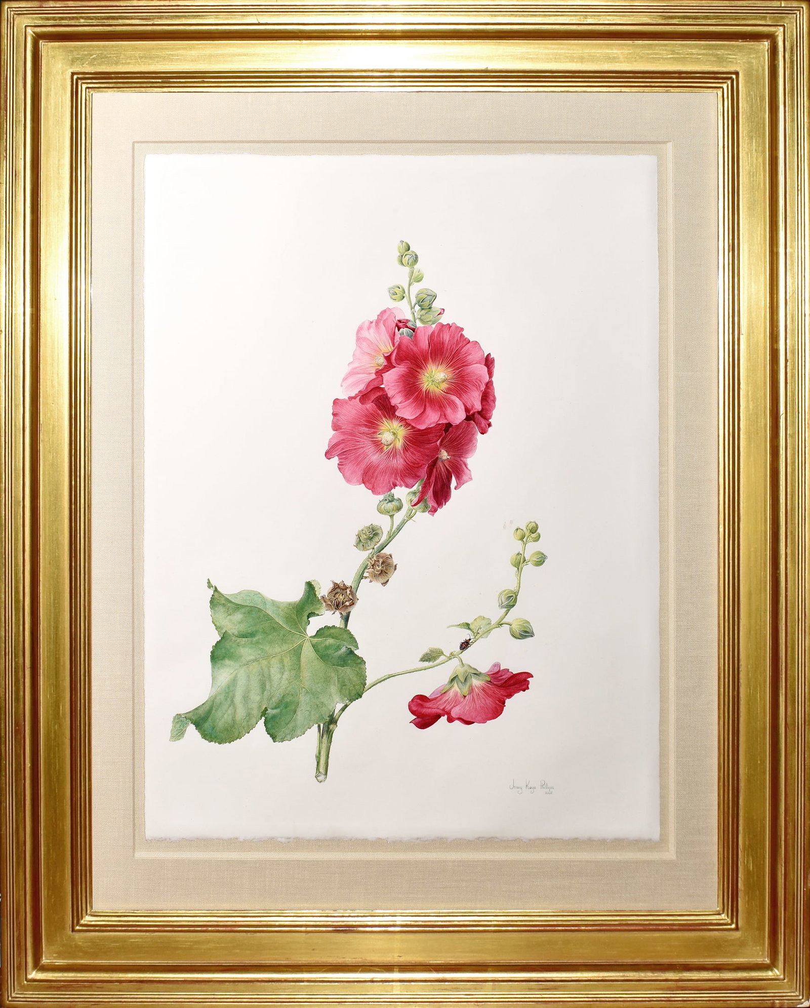 Jenny Phillips Original Watercolor of Hollyhocks (1 of 2)