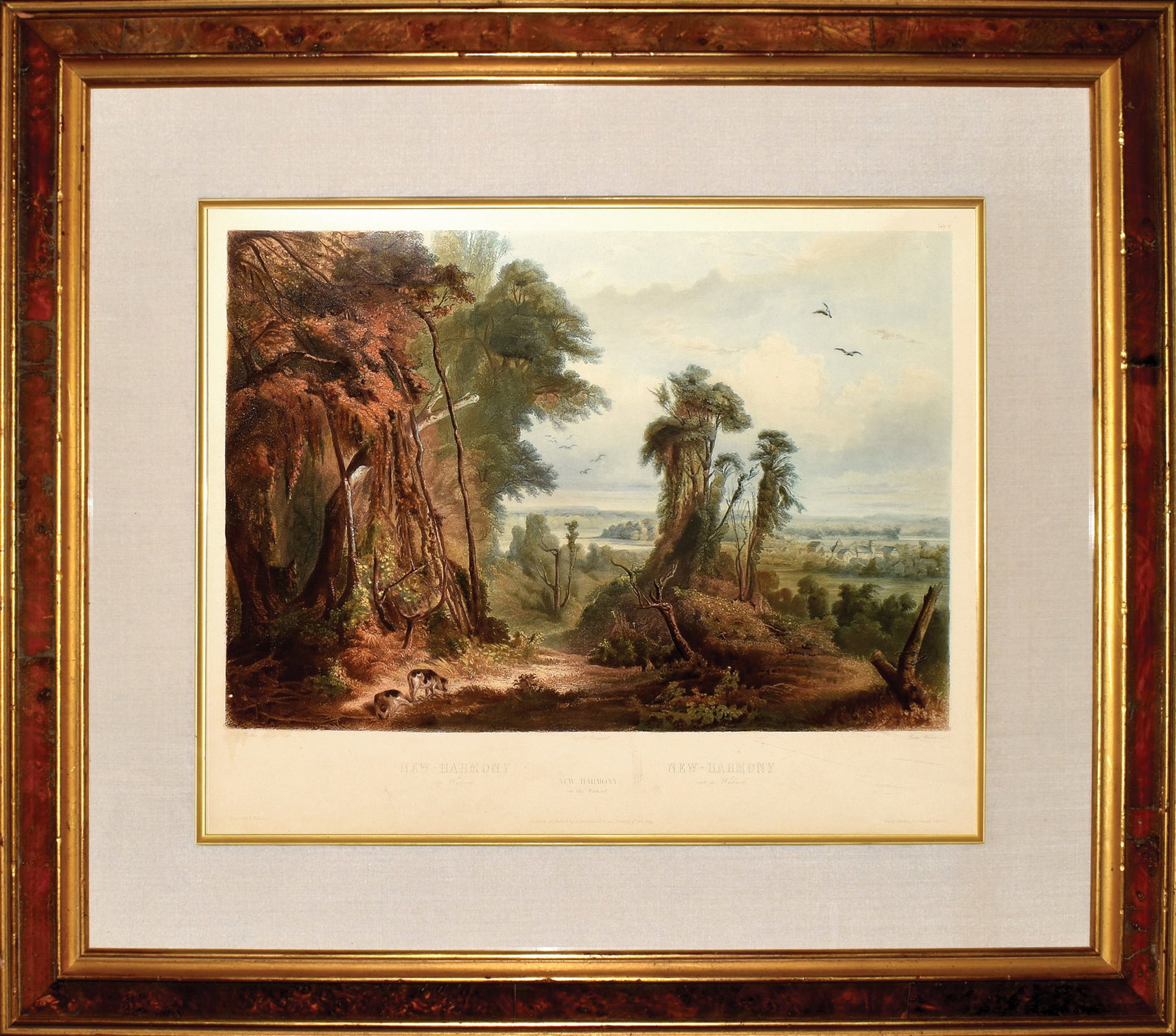 Property of a Nebraska Lady - Bodmer, New Harmony on the Wabash, Tab. 2 (1 of 1)