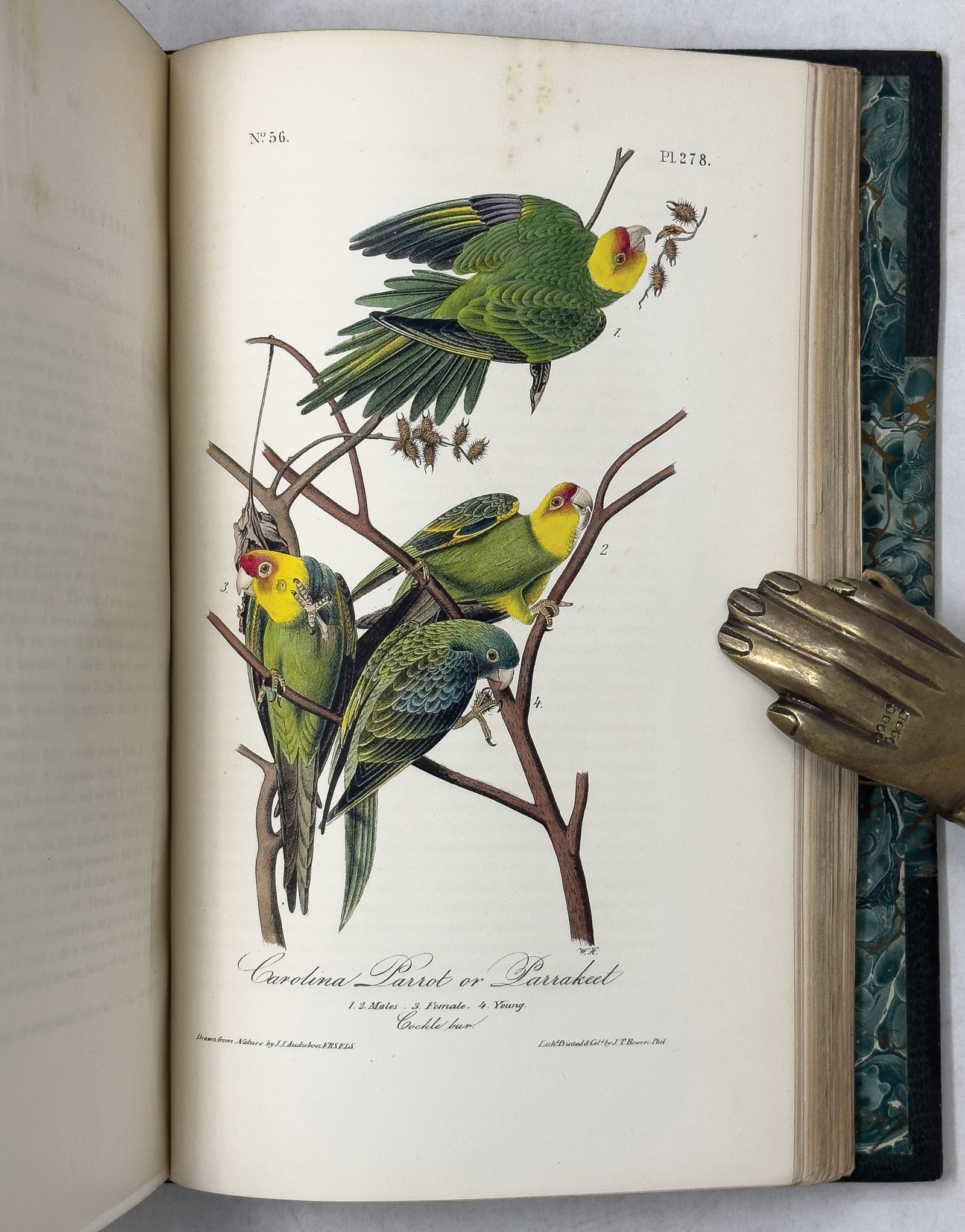 Audubon Birds of America First Edition Octavo - Subscribers Set with Original Wrappers (1 of 11)