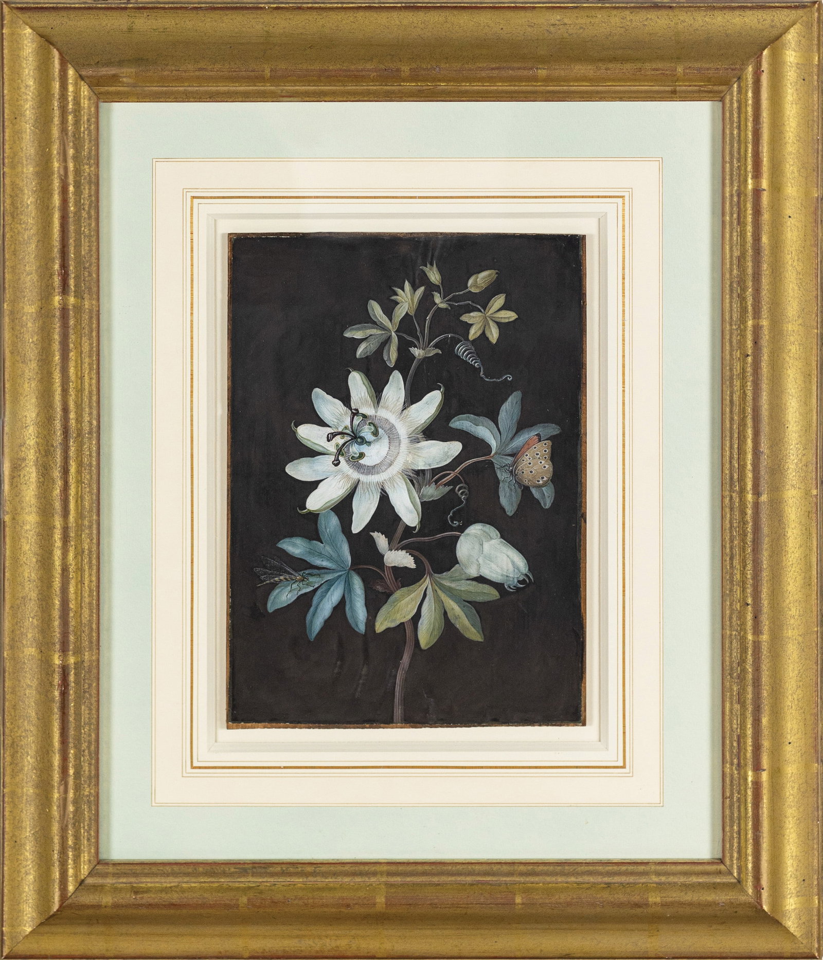 Barbara Regina Dietzsch Watercolor, Passion Flower and Dragonfly - A Masterpiece by Germany?s (1 of 1)