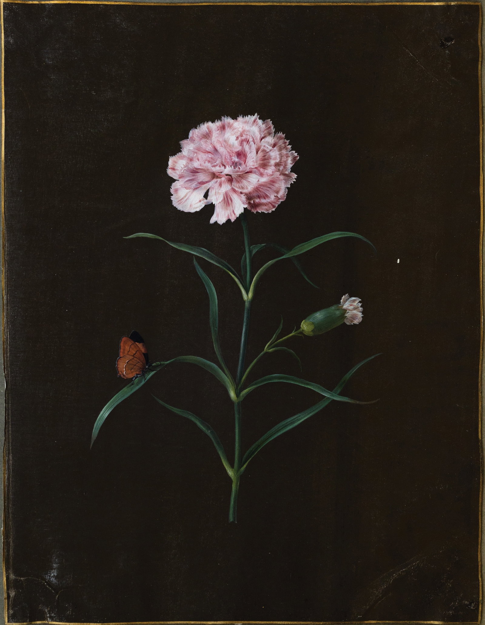 Barbara Regina Dietzsch Watercolor, Rose with a Butterfly and Spider - A Masterpiece by Germany?s (1 of 1)