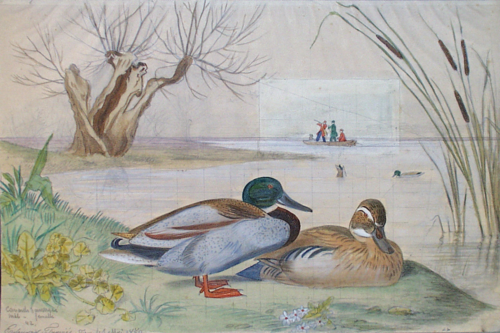 Edouard Travies Watercolor of Mallard Ducks (1 of 1)