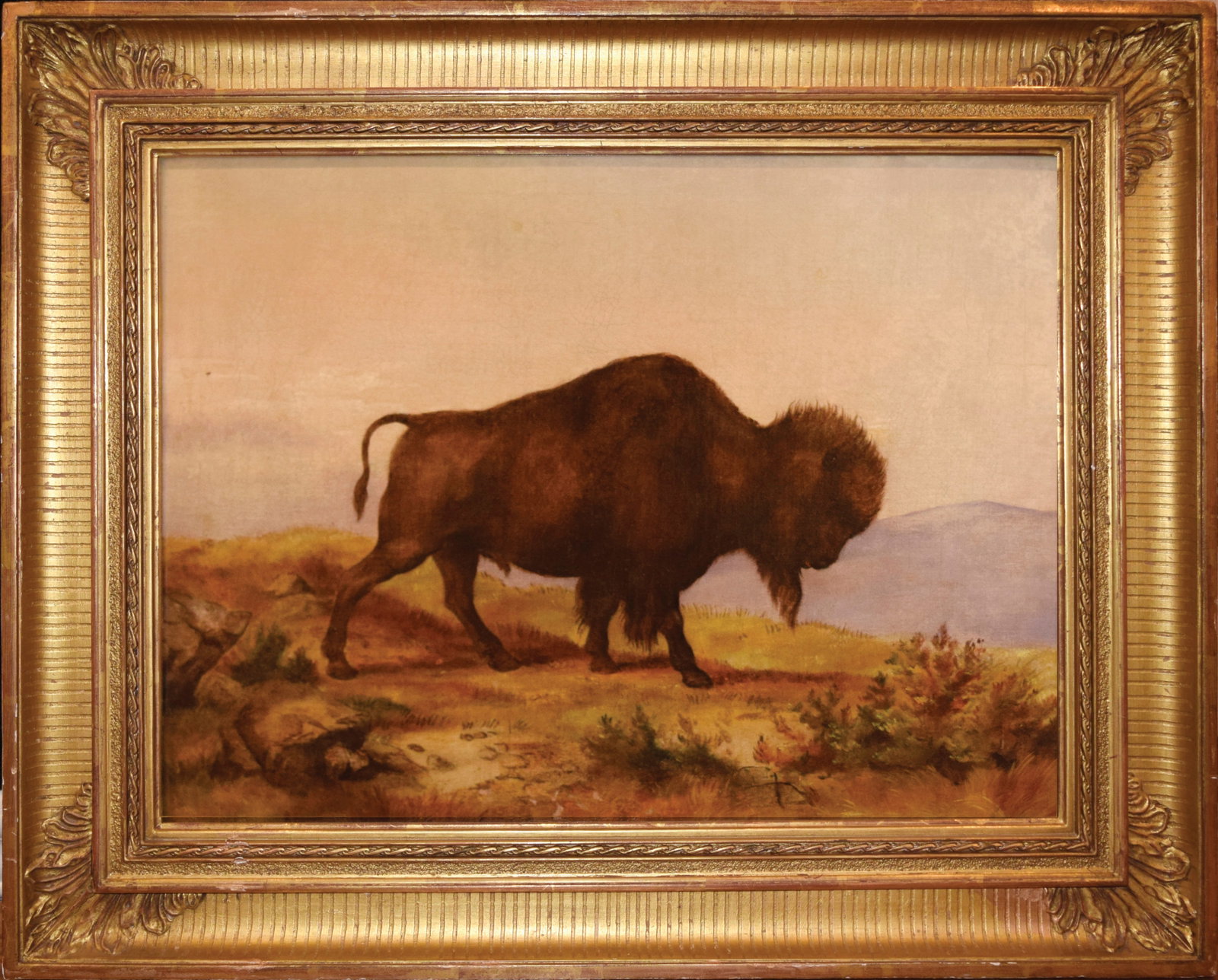 Alfred Sully Oil on Canvas of a Bison Bull (1 of 1)
