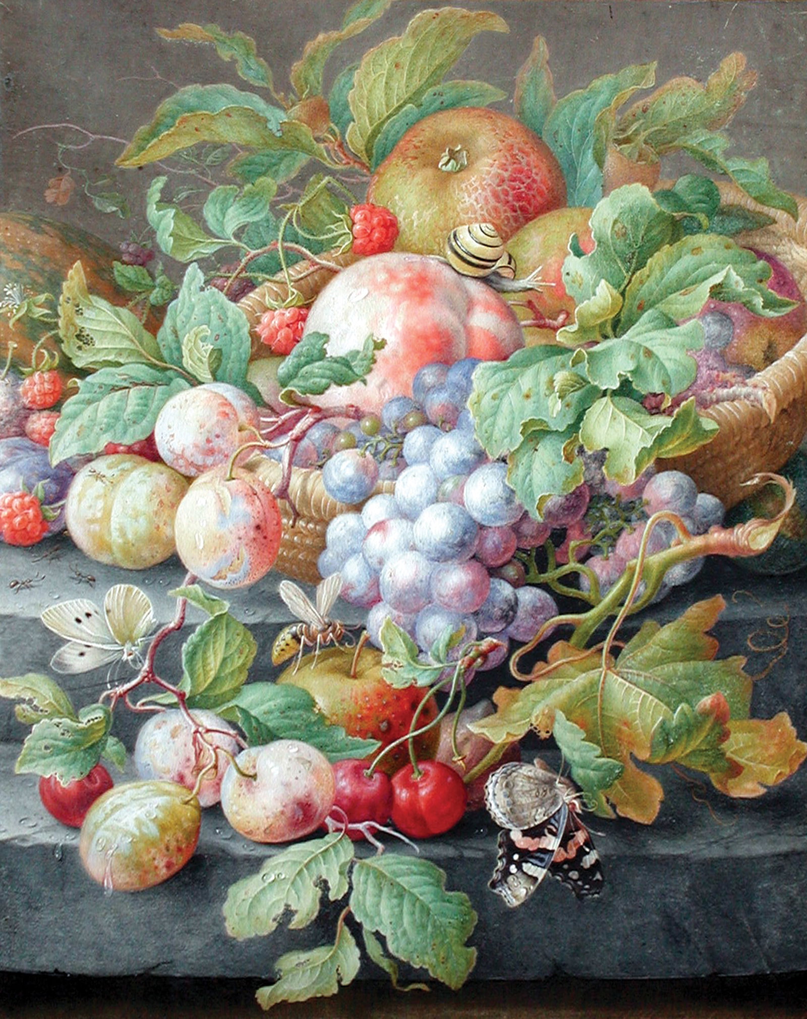 Herman Henstenburgh Stilll-Life watercolor, A Quintessential Dutch Still-Life: HENSTENBURGH, Herman (Dutch, 1667-1726). Still-life with fruit, a snail, a bee, a cabbage butterfly and a tortoise shell butterfly. Watercolor and gouache on vellum. Signed lower right: "H. Henstenbur