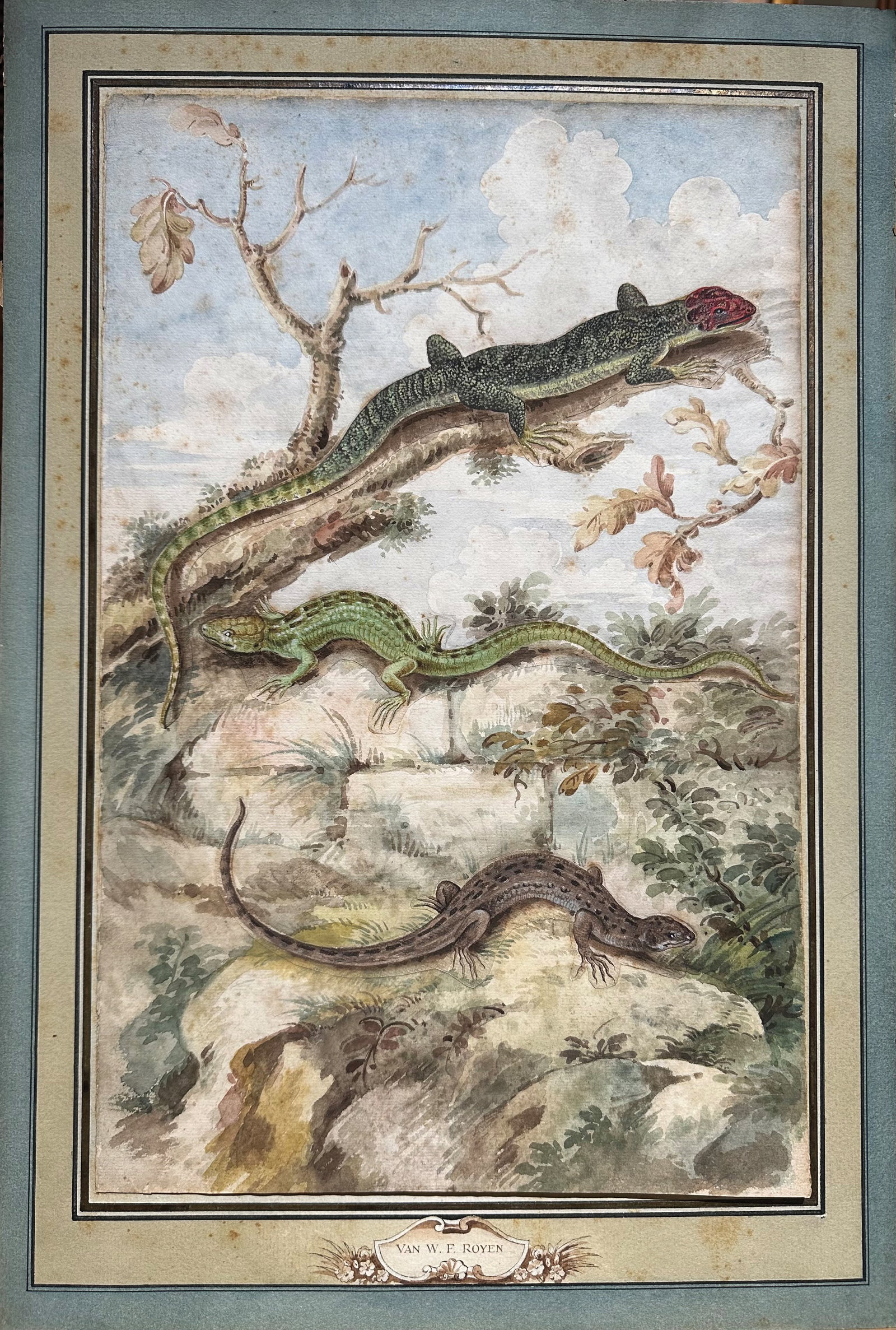 Willem Frederiksz Van Royen Watercolor, Three Lizards in a Landscape (1 of 5)