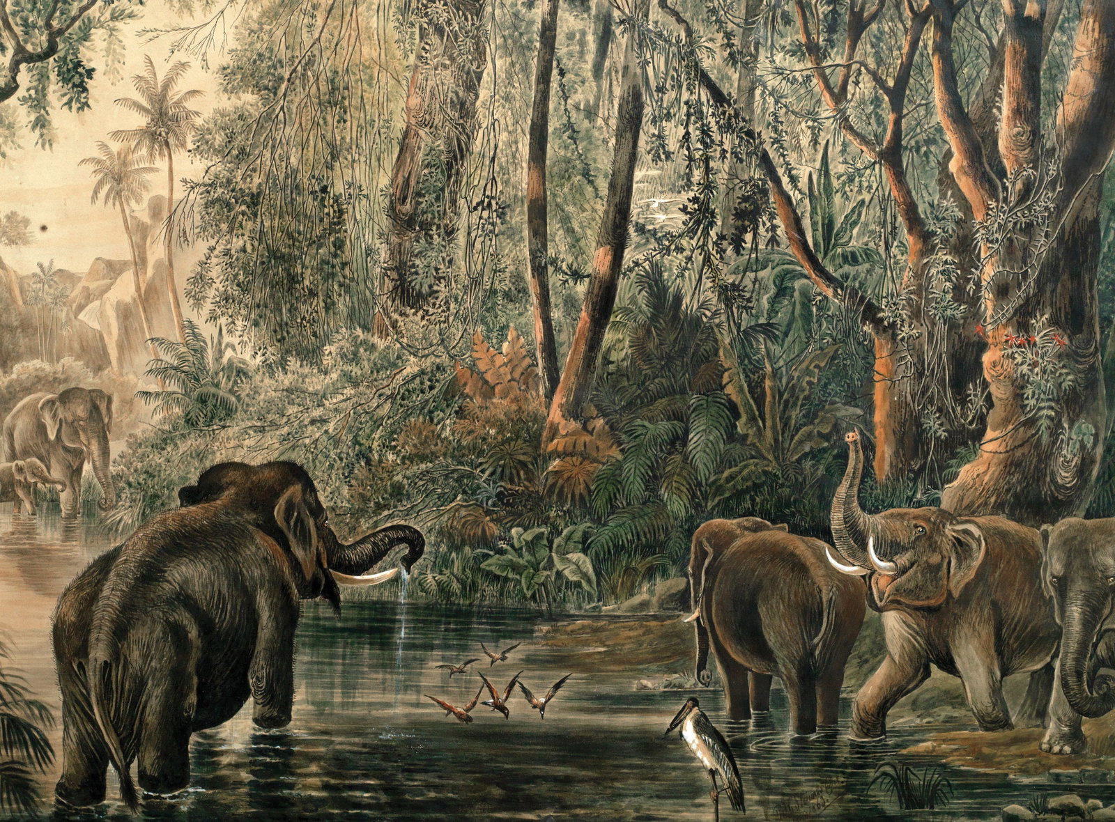 P.H. Staines Watercolor of Asian Elephants Watering: STAINES, P.H. (British, 19th Century). Elephants [Asian] Watering. Watercolor, ink, and gum arabic on paper. Indistinctly signed lower right: "P.H. Staines Del/ 1863". 16 9/16" x 22 13/16" sheet. "Ele
