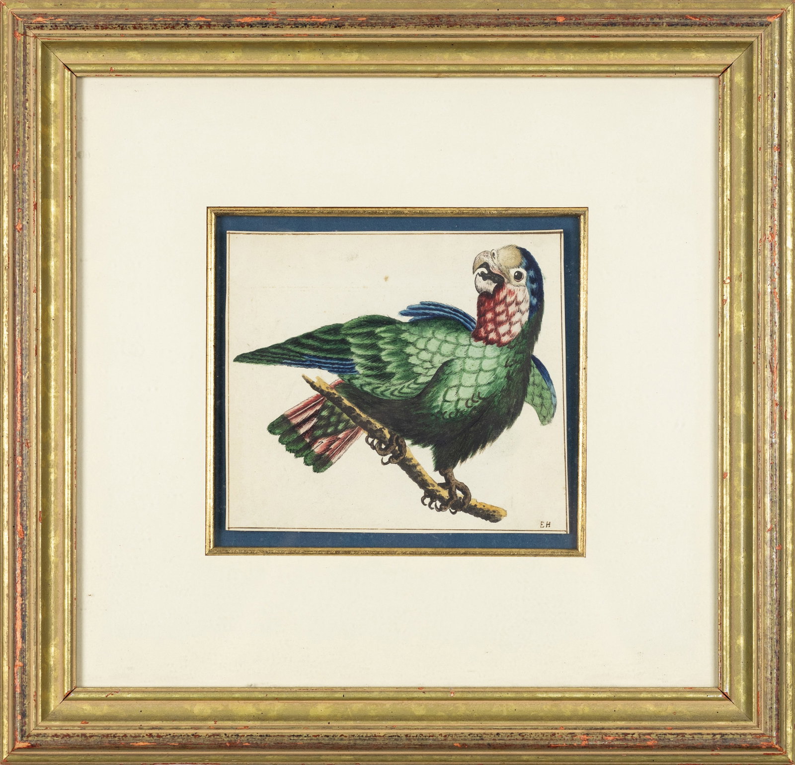Original Watercolor of a Green Parrot, signed E. H. - Property of Ornithological Collector (1 of 2)