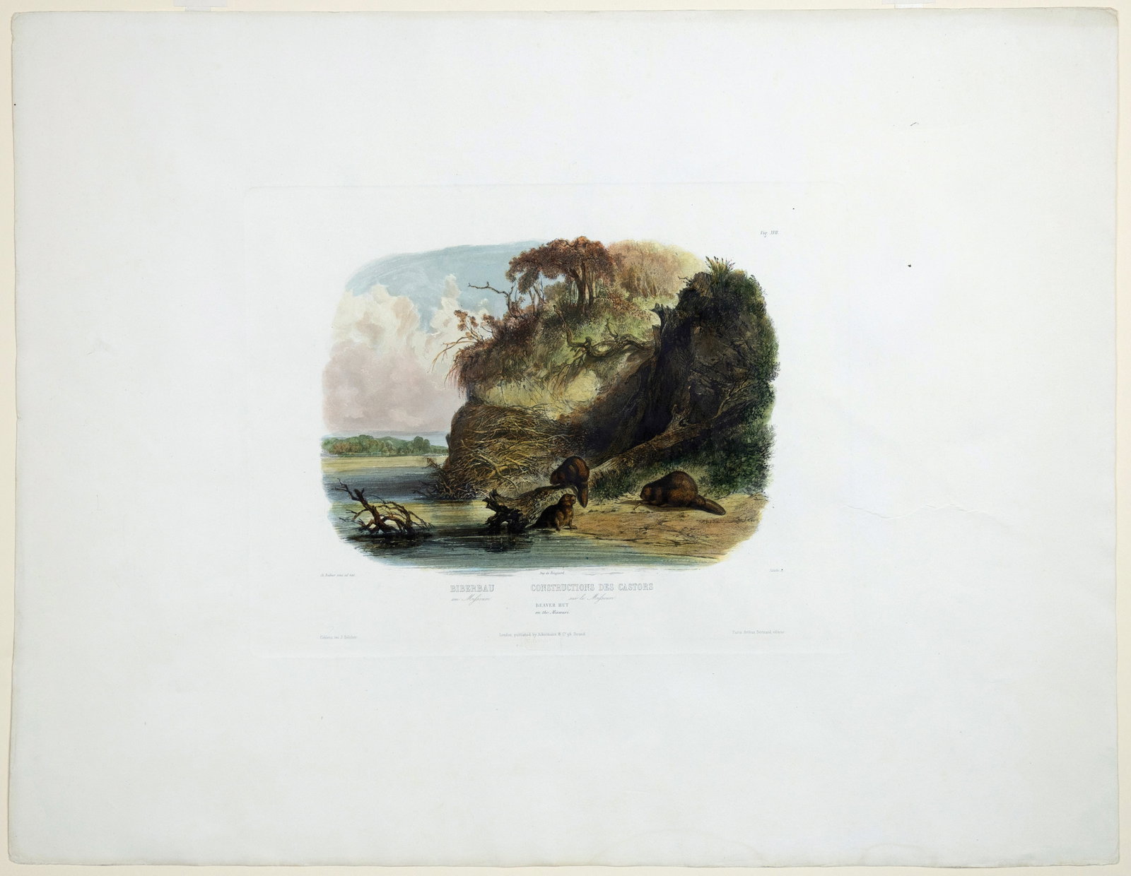 Karl Bodmer Vignette Aquatint, Beaver Hut (1 of 1)