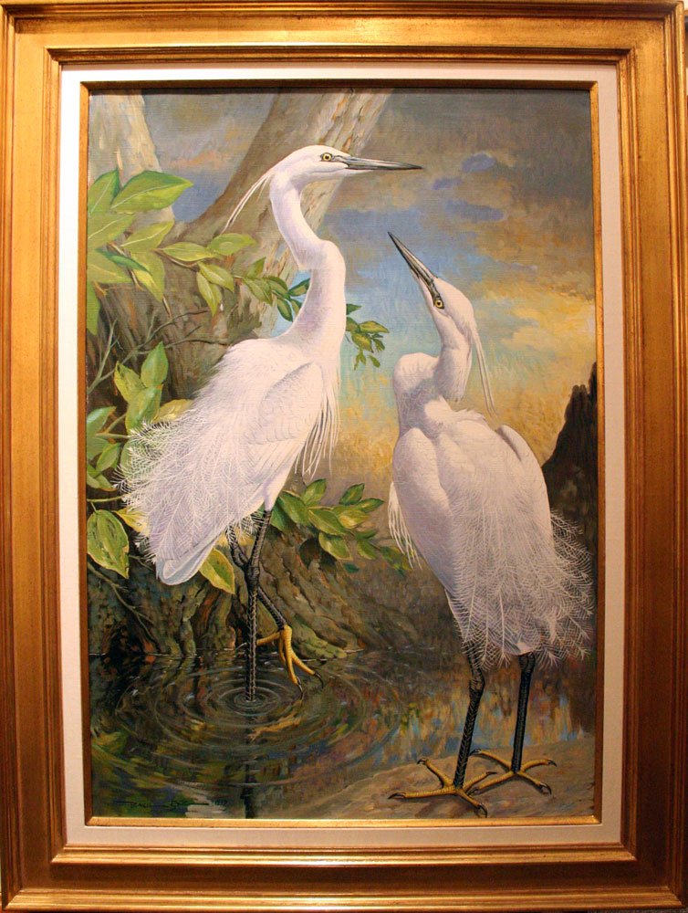 Basil Ede, Untitled [Snowy Herons]: EDE, Basil (British, b. 1931). Untitled [Snowy Herons]. Oil on canvas. Canvas size: 30 x 40 1/4 inches; framed size: 32 3/4 x 46 1/2 inches. This is one of three bird portraits by the twentieth centur
