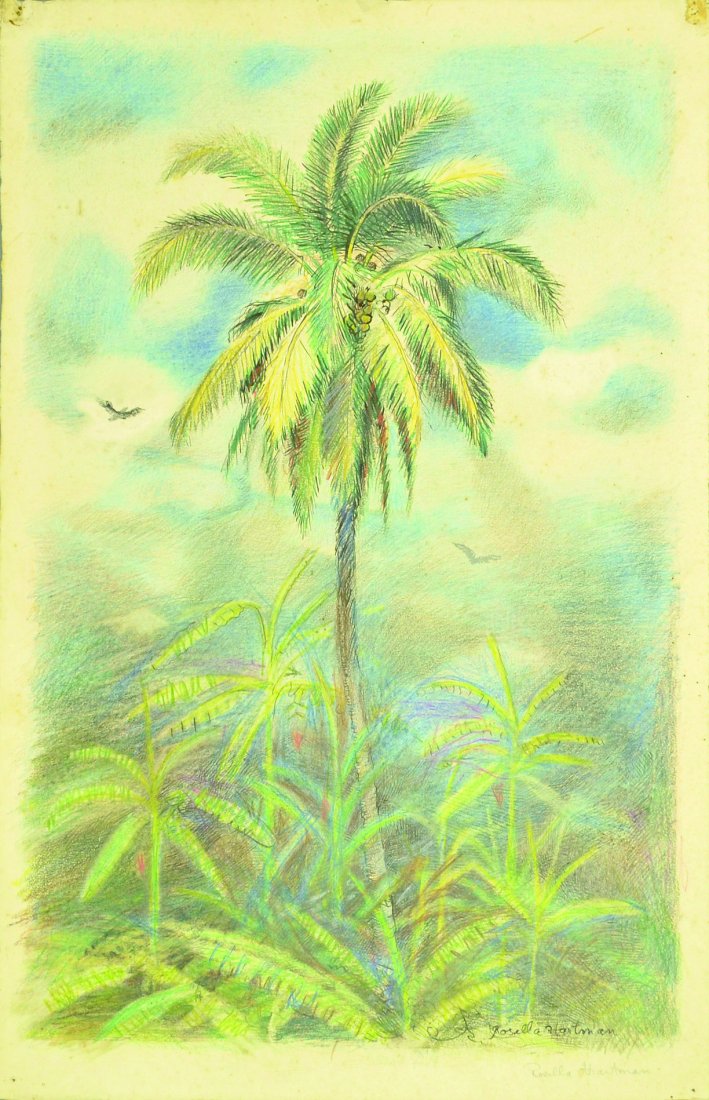 Florida Palm Trees (1 of 1)