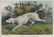 Currier & Ives Lithograph, A Stance Pointer 1870