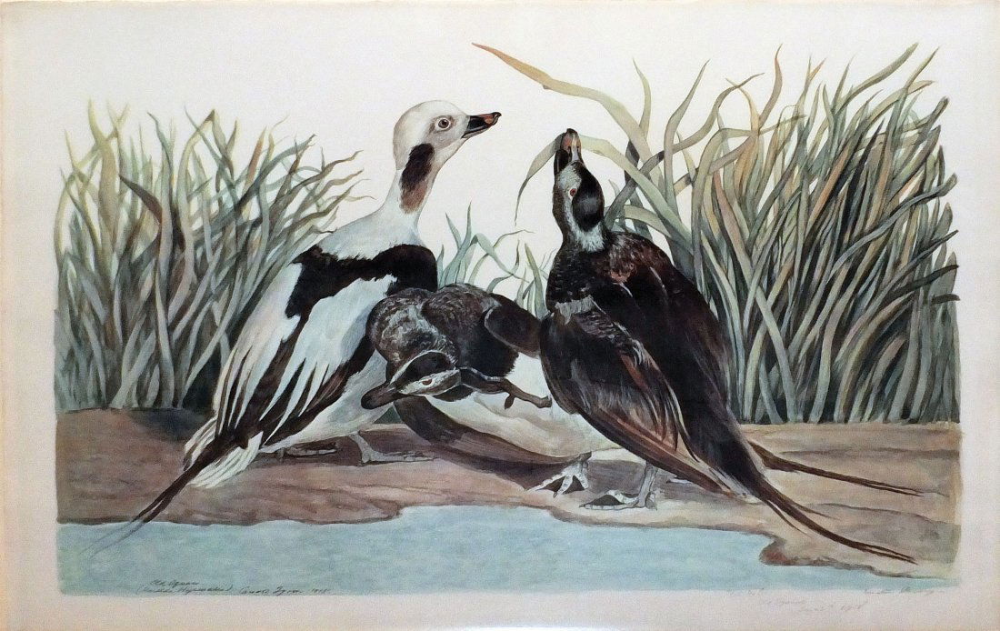 Carroll Sargent Tyson Jr.'s Off-set Color Lithographs (1 of 1)