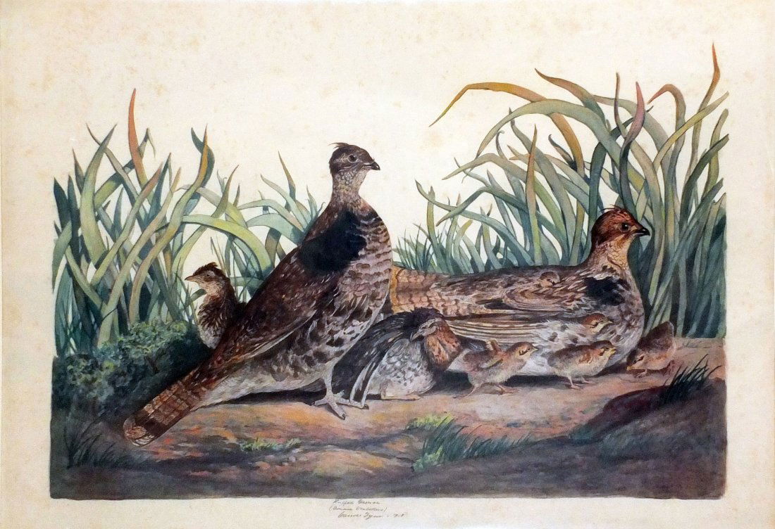 Carroll Sargent Tyson Jr.'s Off-set Color Lithographs (1 of 1)