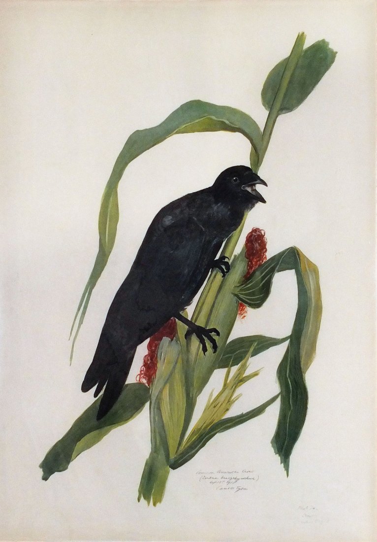 Carroll Sargent Tyson Jr.'s Off-set Color Lithographs (1 of 1)