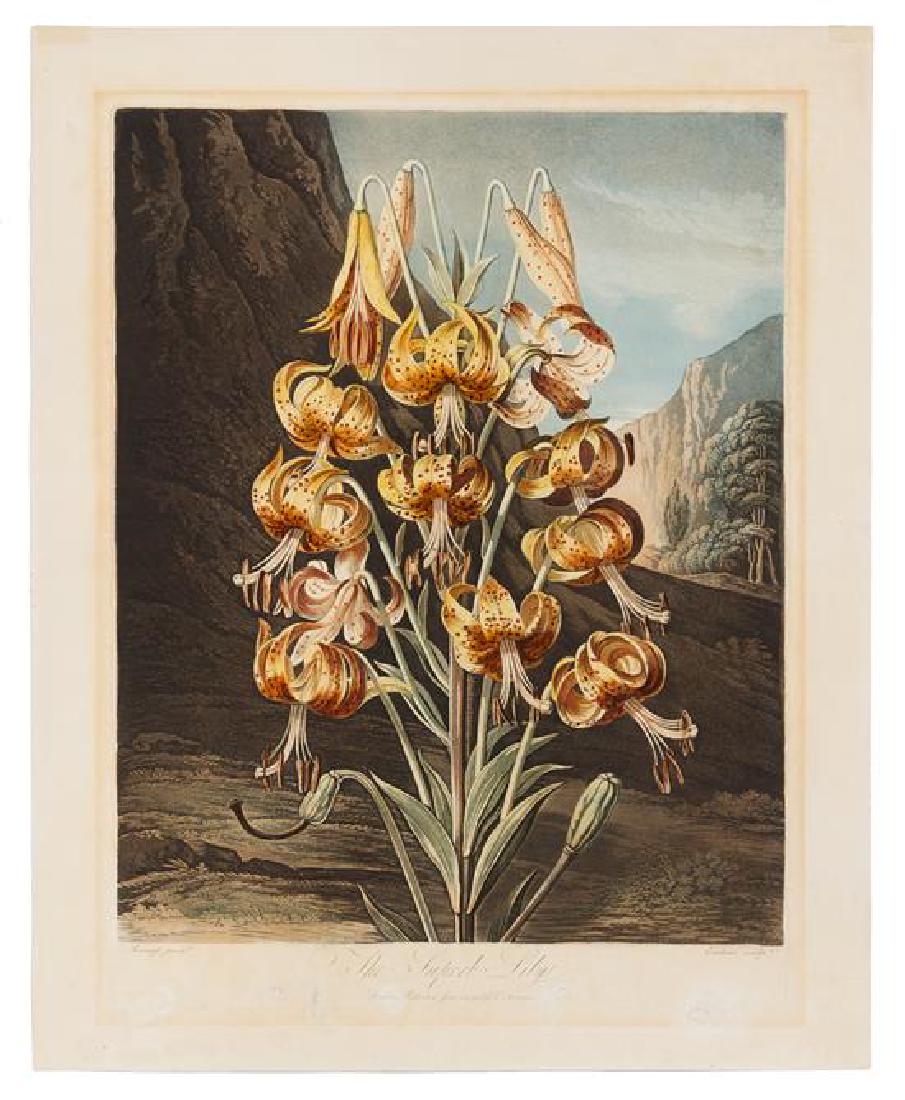 [BOTANICAL]. Thornton, Robert (1768-1837) (1 of 2)