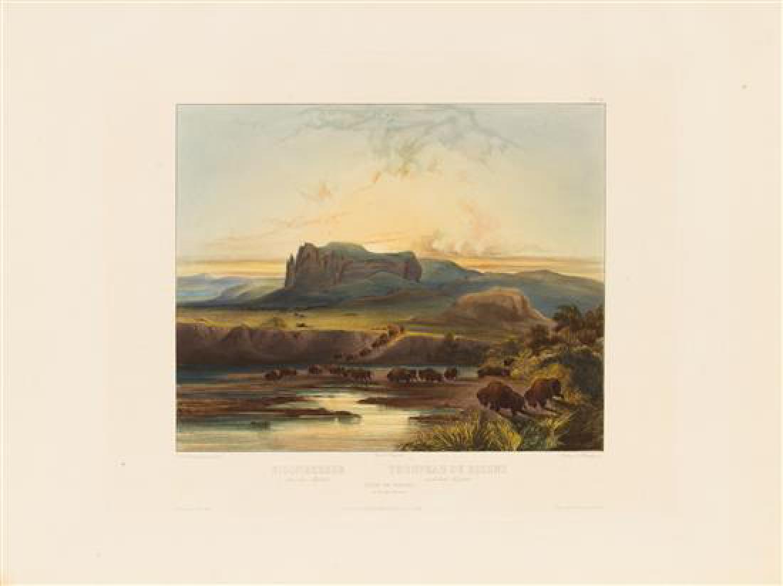 BODMER, Karl (1809-1893): BODMER, Karl (1809-1893) Herd of Bisons (plate 40) From Travels in the Interior of North America, Coblenz, Paris, and London, 1839-1842 Aquatint engraving with hand-coloring, Bodmer blindstamp lower m