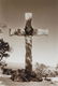 Four Southwestern Black and White Photographs Largest