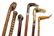 Collection of Six Canes Height of tallest 38 inches - 2