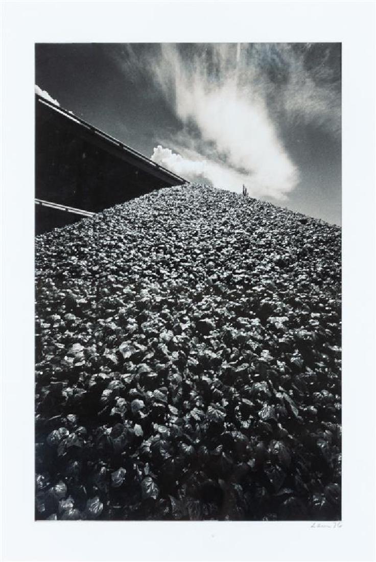 Hans Levi, (20th century), Landscape, 1976 (1 of 1)