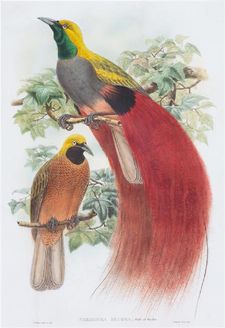 A William Hart Color Lithograph of Birds 31 x 23 1/2 (1 of 1)