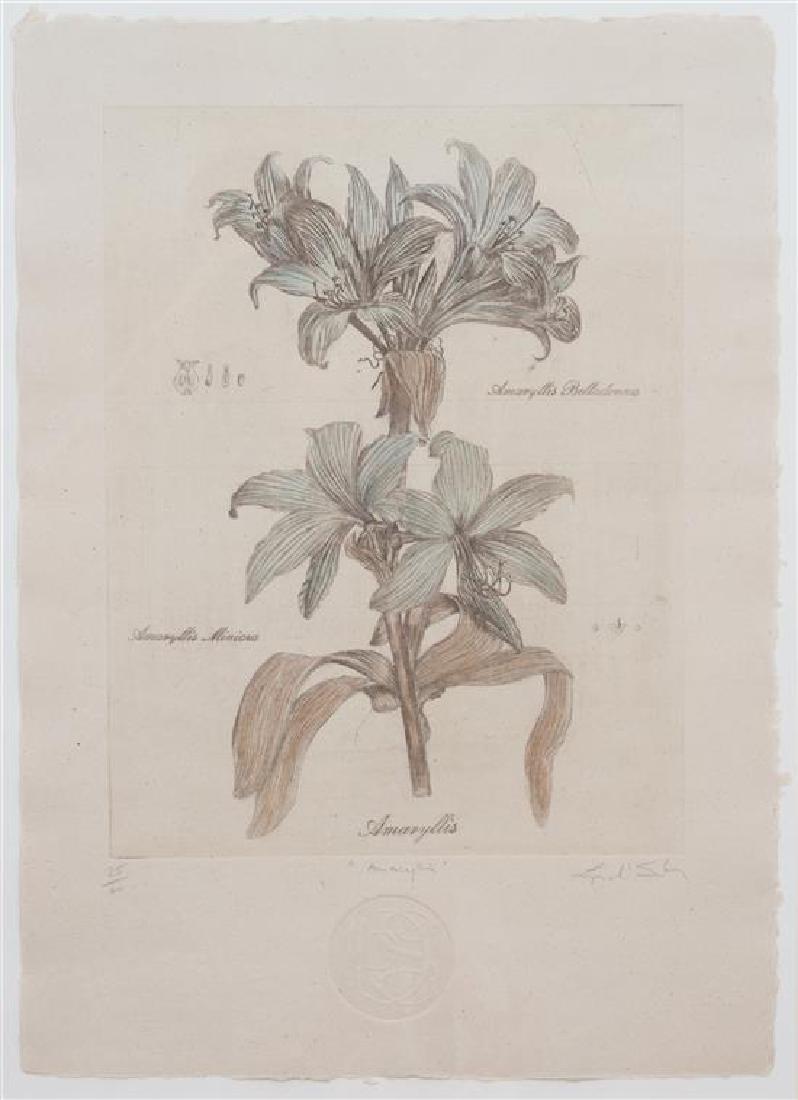 Three Botanical Engraving Reproductions Height 23 1/2 x (1 of 2)