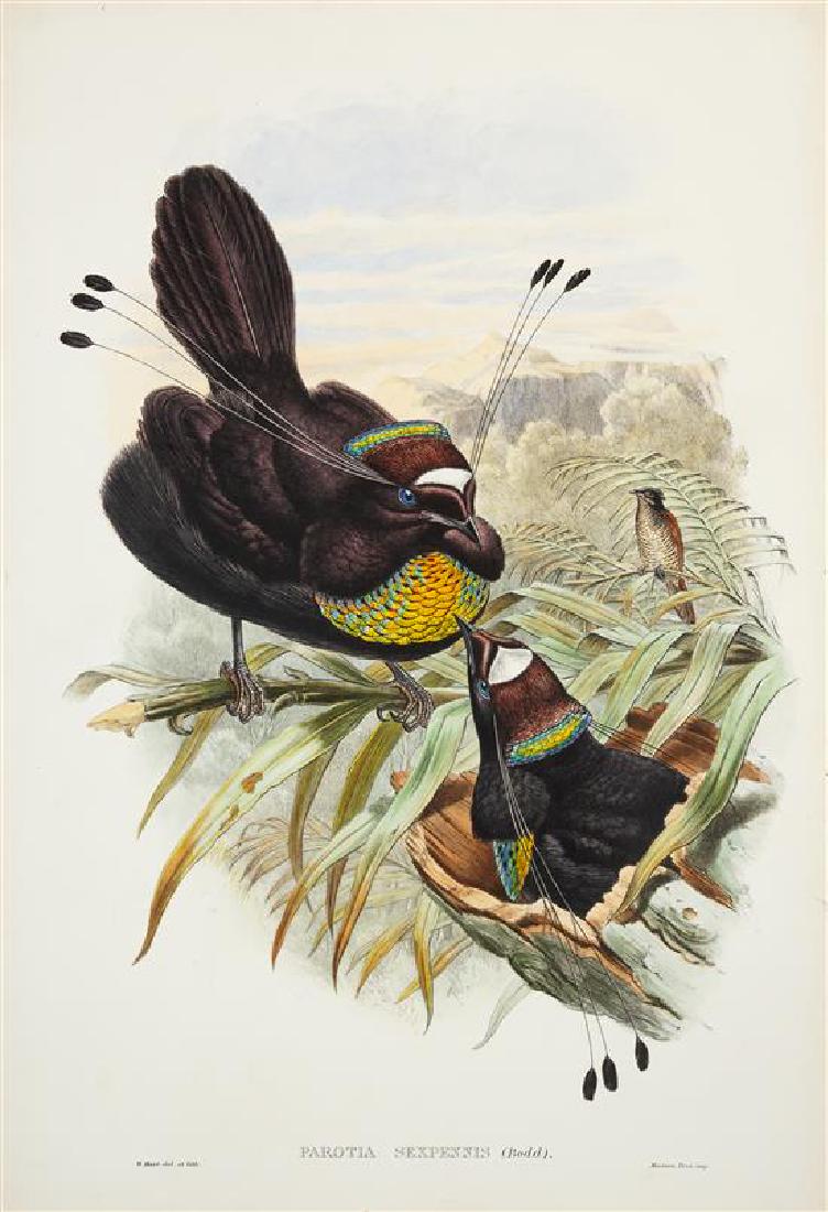 [NATURAL HISTORY]. GOULD, John W. (1 of 2)
